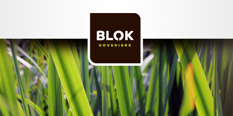 Logo Blok Hoveniers